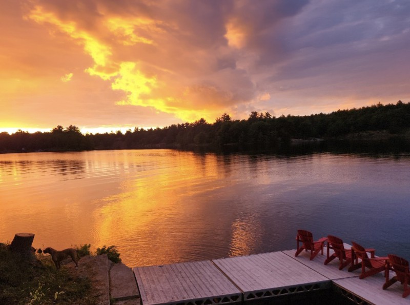 Rodrigues Wealth Management - Retirement and Wealth